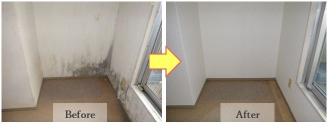 クリーンアート施工事例ビフォーアフター1