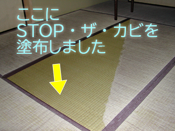 １０年以上カビを止める　クリーンアートの防カビ剤