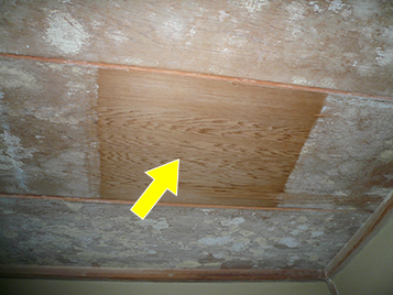 １０年以上カビを止める　クリーンアートの防カビ剤